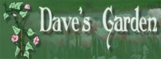 Dave's Garden