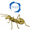 Mr�wka PFED - nowe wyr�nienie dla lider�w diabetologii i piel�gniarstwa
