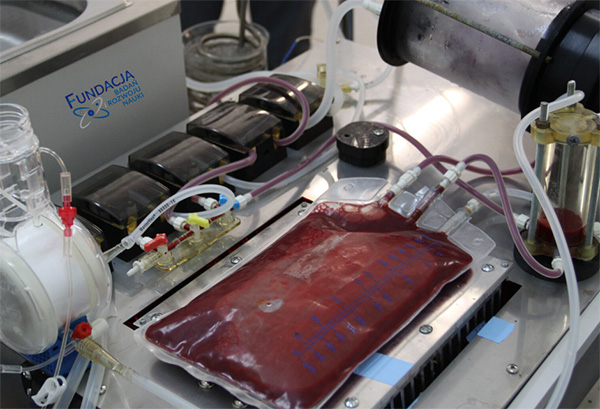 Prototyp bioreaktor