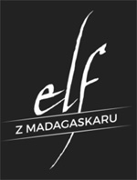 Elf z Madagaskaru - poznaj blog Dośki